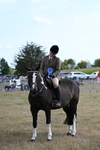 WJ7_6346