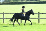 SBM_50268