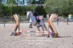 BPP_6990