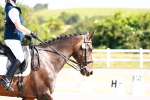 SBM_009749