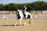 SBM_008440