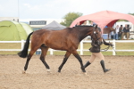 SBM_07885