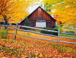 Istock #17549956