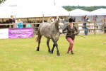SBM_04055