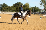 SBM_16382