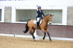SBM_002937