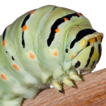 ITA_PHD_20110913-003