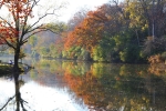 Side Cut Park in the Fall