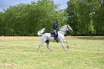 WJ6_2619