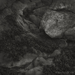 Foreshore with boulder and twig, Oxwich Bay, Gower, Wales, spring 2014