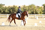SBM_017022