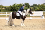 SBM_003759