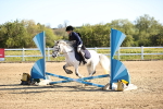 SBM_000166