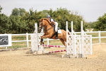 SBM_001462