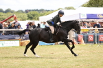 SBM_14809