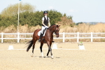 SBM_017475