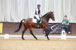Dressage - 27-5-26 portfolio
