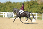 SBM_001918