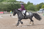 BPP_6893