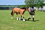 SBM_08075