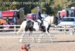 BPP_8961