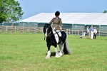 SBM_11697