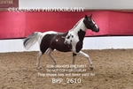 BPP_2610