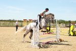 SBM_005761