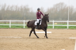 Class 6-7 - Novice 34-Elementary 42 portfolio