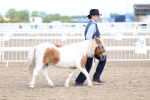 Class 19 - Horse or Pony Judge would most like to take home portfolio
