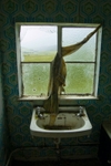 Sink Baltimore