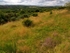 Sally Clark's Meadow
