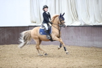 Class 1 - Stepping Stones 128-138cm Handicap portfolio