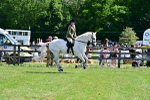 SBM_07909