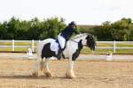 SBM_006992