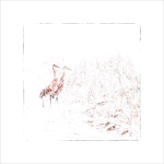 LARRY'S TENSET, 2015 portfolio