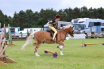 SBM_08742