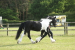 SBM_10579