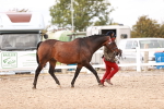 SBM_16271