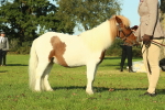 SBM_58577
