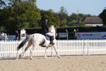 SBM_36262