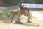 SBM_34666