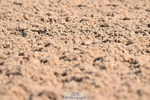 240621A-090335-01115