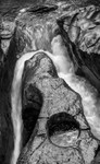 Watering Hole - Maligne Canyon