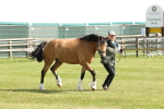 SBM_02144