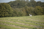 PtP 250921 0711