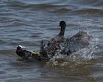 20110430-IMG_5221