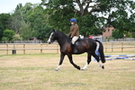 WJ6_3866