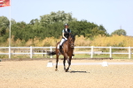 SBM_011991