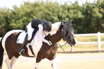 SBM_008649_Novice 5 - 830-933